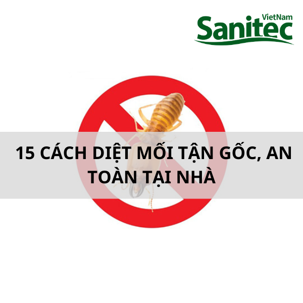 [TIPS] 15 Cách Diệt Mối Tận Gốc, An Toàn Tại Nhà